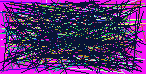 search for people